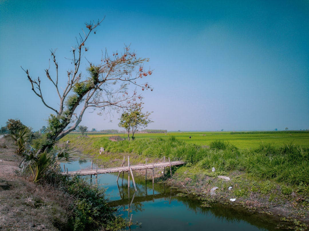 Irrigation water in the Yakima Valley